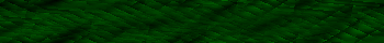 Desktop Pattern Starfishx Black & Green 350x40 - 120