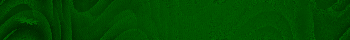 Desktop Pattern Starfishx Black & Green 350x40 - 129