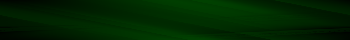 Desktop Pattern Starfishx Black & Green 350x40 - 133