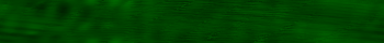 Desktop Pattern Starfishx Black & Green 350x40 - 135