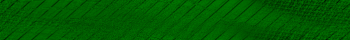 Desktop Pattern Starfishx Black & Green 350x40 - 137