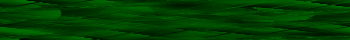 Desktop Pattern Starfishx Black & Green 350x40 - 146