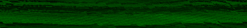 Desktop Pattern Starfishx Black & Green 350x40 - 193