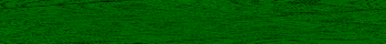Desktop Pattern Starfishx Black & Green 350x40 - 197