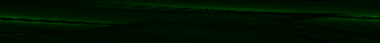 Desktop Pattern Starfishx Black & Green 350x40 - 200