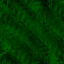 Desktop Pattern Starfishx Black & Green 64x64 - 17