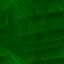Desktop Pattern Starfishx Black & Green 64x64 - 24