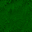 Desktop Pattern Starfishx Black & Green 64x64 - 52