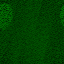 Desktop Pattern Starfishx Black & Green 64x64 - 55