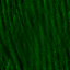 Desktop Pattern Starfishx Black & Green 64x64 - 64