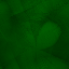 Desktop Pattern Starfishx Black & Green 64x64 - 135