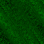 Desktop Pattern Starfishx Black & Green 64x64 - 163