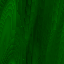 Desktop Pattern Starfishx Black & Green 64x64 - 197