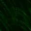 Desktop Pattern Starfishx Black & Green 64x64 - 200
