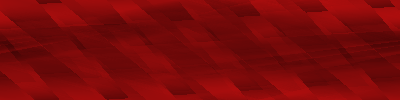 Desktop Pattern Starfishx Black & Red 400x100 - 1