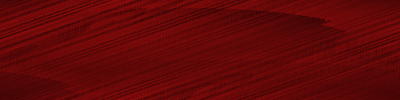Desktop Pattern Starfishx Black & Red 400x100 - 31