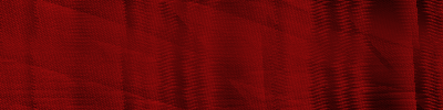 Desktop Pattern Starfishx Black & Red 400x100 - 46