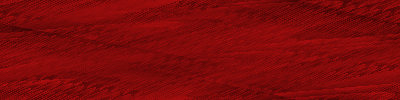 Desktop Pattern Starfishx Black & Red 400x100 - 93