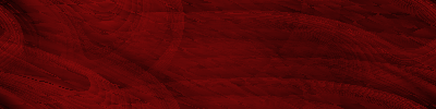 Desktop Pattern Starfishx Black & Red 400x100 - 107
