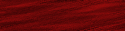 Desktop Pattern Starfishx Black & Red 400x100 - 115