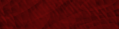 Desktop Pattern Starfishx Black & Red 400x100 - 120