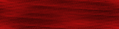 Desktop Pattern Starfishx Black & Red 400x100 - 133