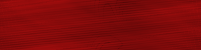 Desktop Pattern Starfishx Black & Red 400x100 - 135