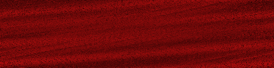 Desktop Pattern Starfishx Black & Red 400x100 - 163