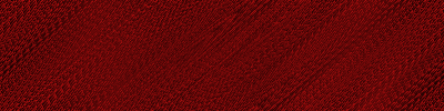 Desktop Pattern Starfishx Black & Red 400x100 - 176