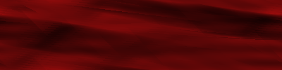 Desktop Pattern Starfishx Black & Red 400x100 - 180