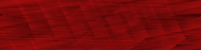 Desktop Pattern Starfishx Black & Red 400x100 - 184