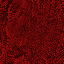 Desktop Pattern Starfishx Black & Red 64x64 - 3