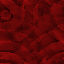 Desktop Pattern Starfishx Black & Red 64x64 - 8