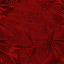 Desktop Pattern Starfishx Black & Red 64x64 - 49