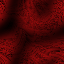 Desktop Pattern Starfishx Black & Red 64x64 - 63