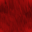 Desktop Pattern Starfishx Black & Red 64x64 - 69