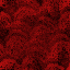 Desktop Pattern Starfishx Black & Red 64x64 - 136