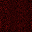 Desktop Pattern Starfishx Black & Red 64x64 - 200