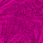 Desktop Pattern Starfishx 3 Colors Purple 64x64 - 15