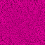 Desktop Pattern Starfishx 3 Colors Purple 64x64 - 21