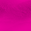 Desktop Pattern Starfishx 3 Colors Purple 64x64 - 39