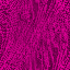 Desktop Pattern Starfishx 3 Colors Purple 64x64 - 167