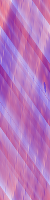 Desktop Pattern Starfishx Red, White, & Blue 100x400 - 16