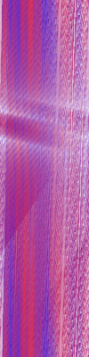 Desktop Pattern Starfishx Red, White, & Blue 100x400 - 19