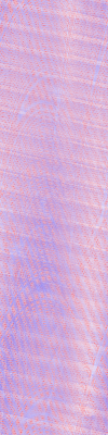 Desktop Pattern Starfishx Red, White, & Blue 100x400 - 21