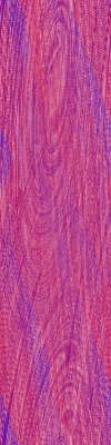 Desktop Pattern Starfishx Red, White, & Blue 100x400 - 22