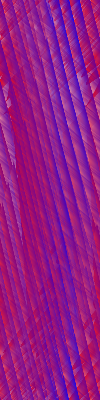 Desktop Pattern Starfishx Red, White, & Blue 100x400 - 28