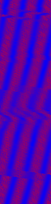 Desktop Pattern Starfishx Red, White, & Blue 100x400 - 36