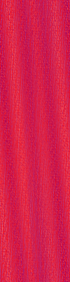Desktop Pattern Starfishx Red, White, & Blue 100x400 - 44