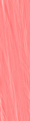 Desktop Pattern Starfishx Red, White, & Blue 100x400 - 53
